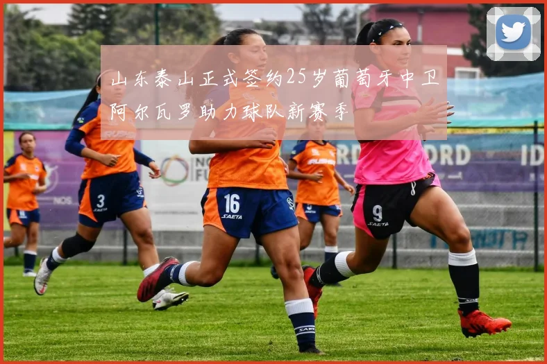山东泰山正式签约25岁葡萄牙中卫阿尔瓦罗助力球队新赛季