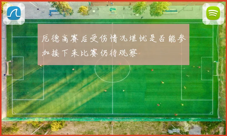 厄德高赛后受伤情况堪忧是否能参加接下来比赛仍待观察