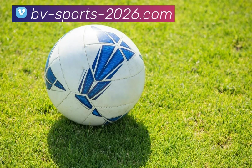 betvictorAPP 封面图